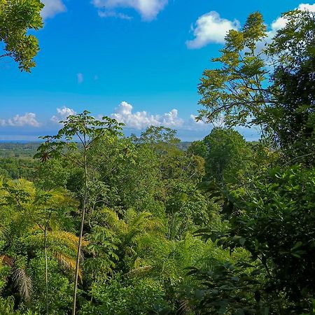 Corcovado Private Villas - Corcovado Private Reserve Пуэрто-Хименес Экстерьер фото