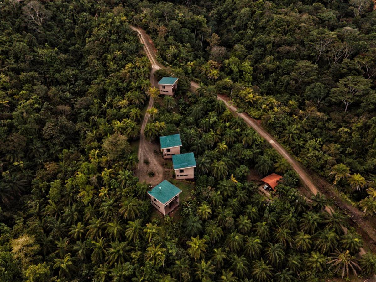 Corcovado Private Villas - Corcovado Private Reserve Пуэрто-Хименес Экстерьер фото