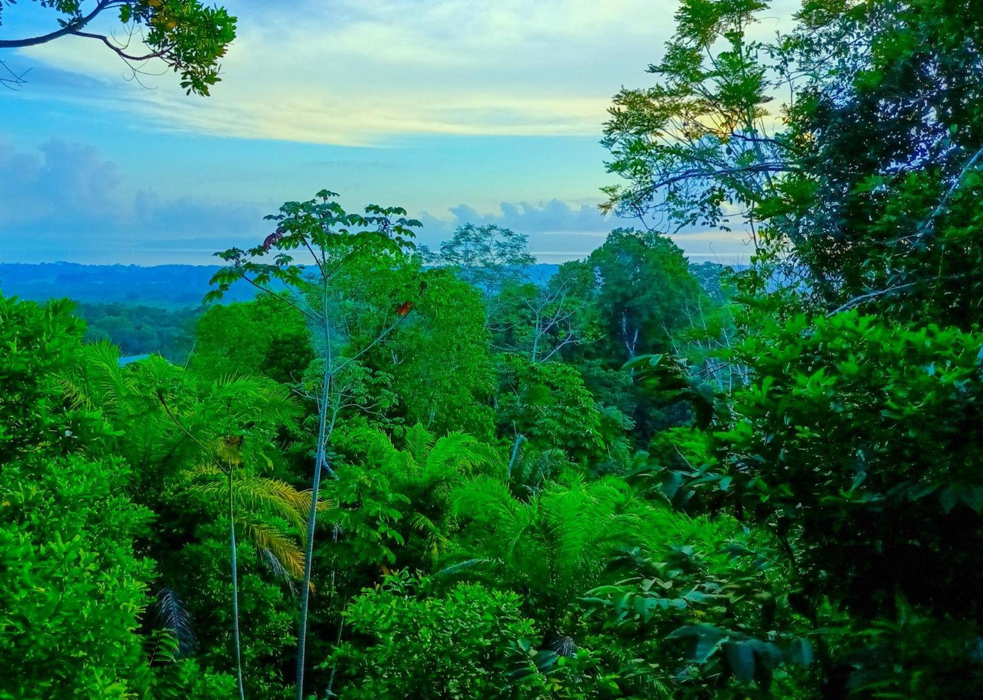 Corcovado Private Villas - Corcovado Private Reserve Пуэрто-Хименес Экстерьер фото
