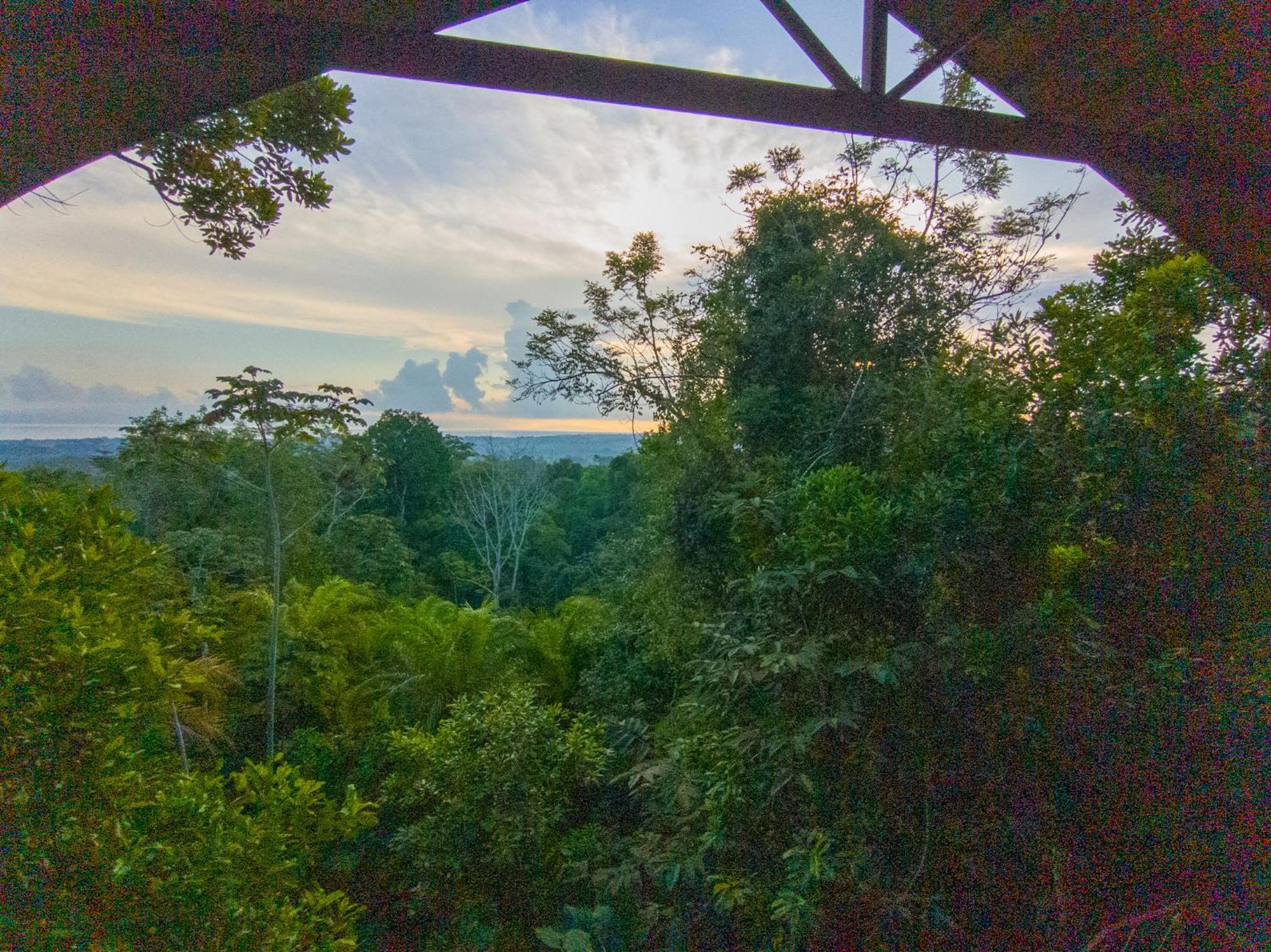 Corcovado Private Villas - Corcovado Private Reserve Пуэрто-Хименес Экстерьер фото