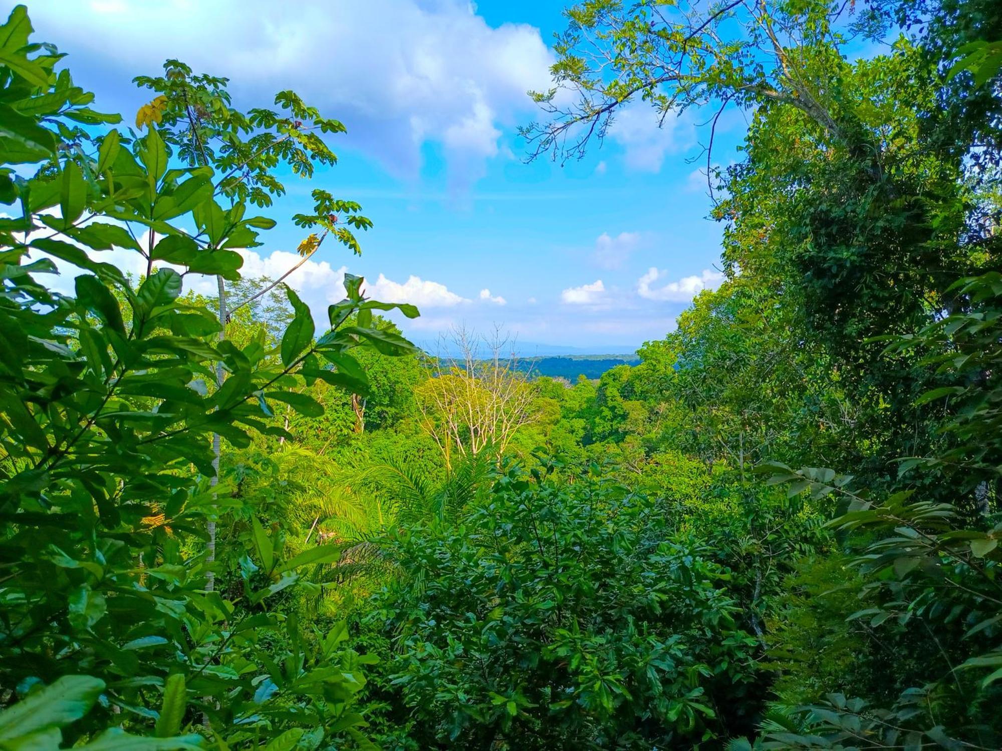 Corcovado Private Villas - Corcovado Private Reserve Пуэрто-Хименес Экстерьер фото