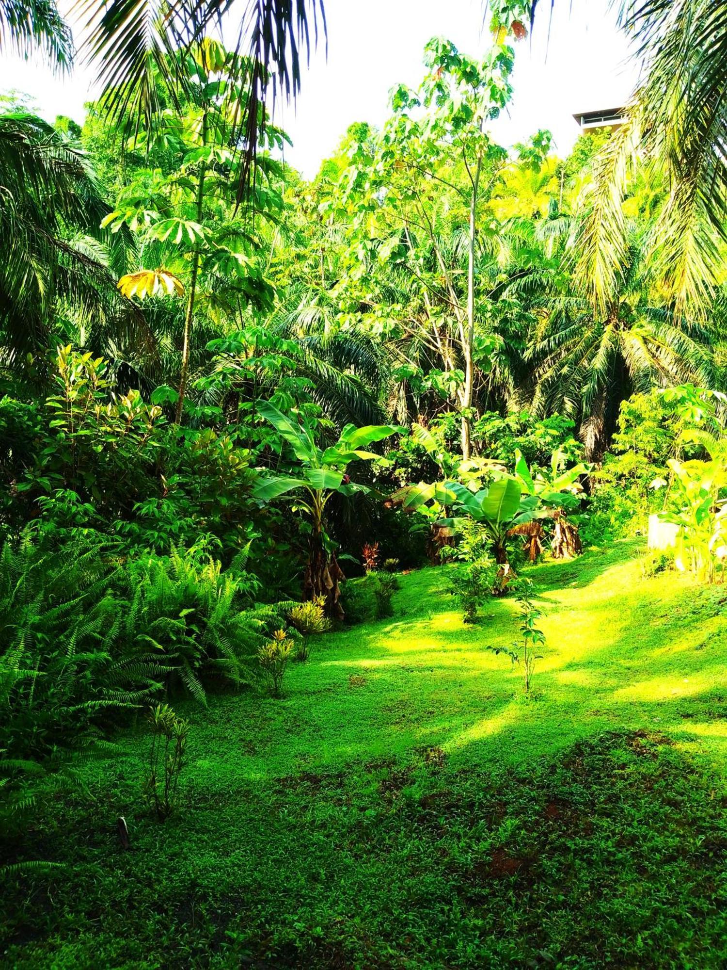 Corcovado Private Villas - Corcovado Private Reserve Пуэрто-Хименес Экстерьер фото