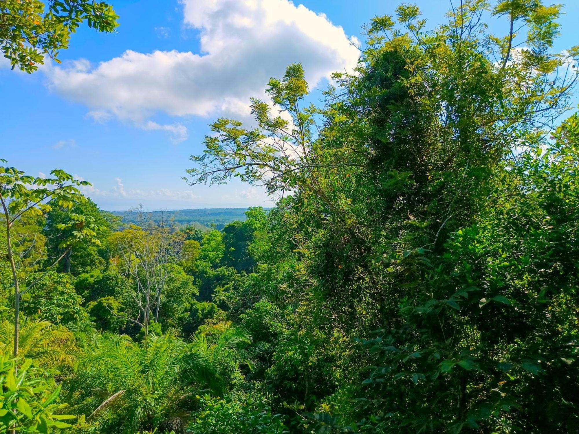 Corcovado Private Villas - Corcovado Private Reserve Пуэрто-Хименес Экстерьер фото