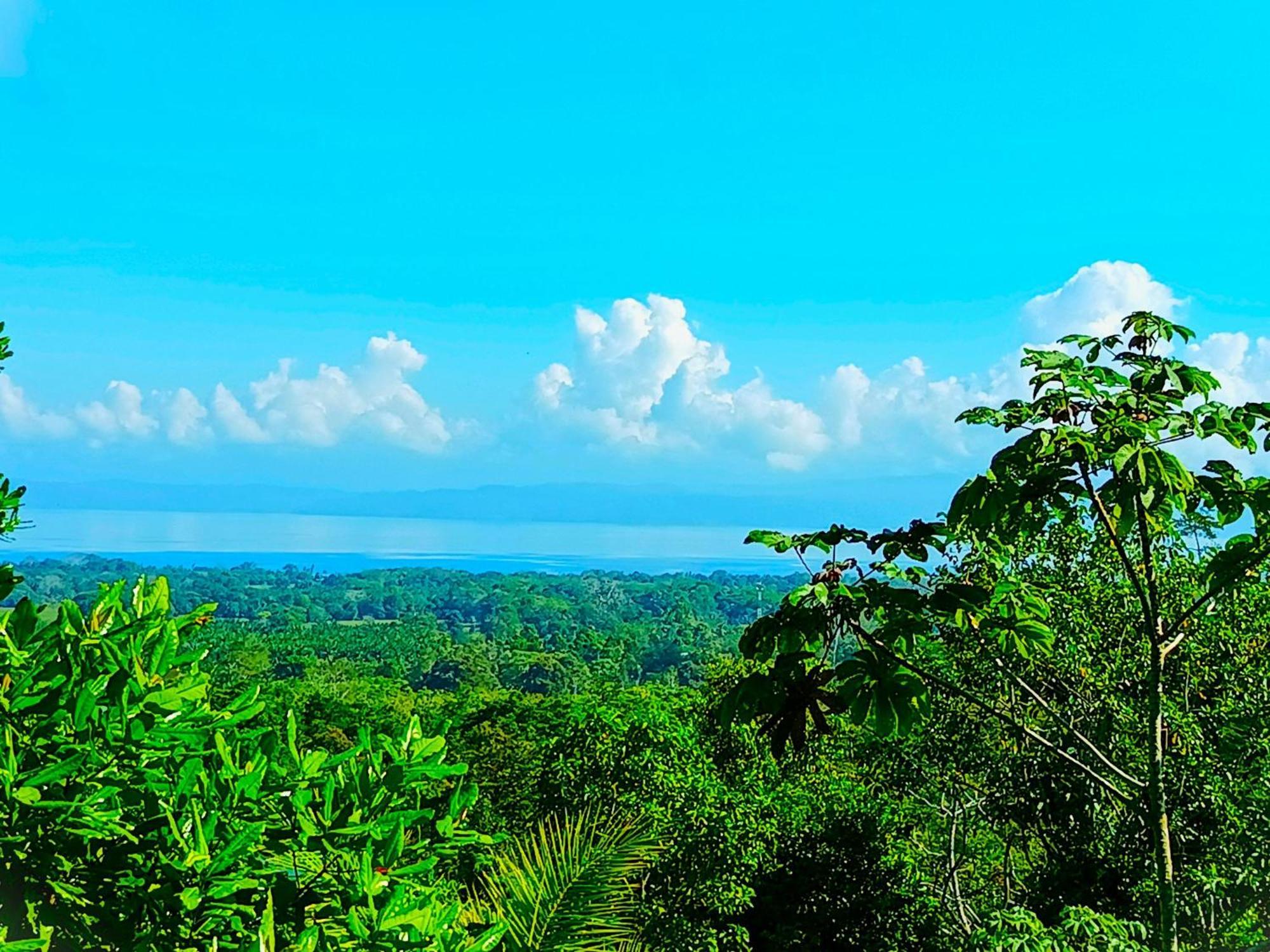 Corcovado Private Villas - Corcovado Private Reserve Пуэрто-Хименес Экстерьер фото