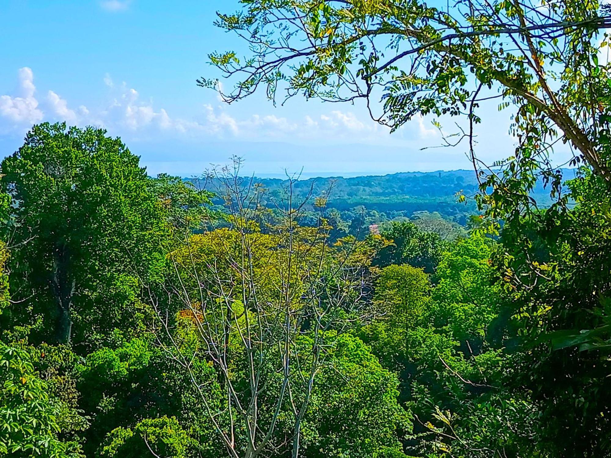 Corcovado Private Villas - Corcovado Private Reserve Пуэрто-Хименес Экстерьер фото