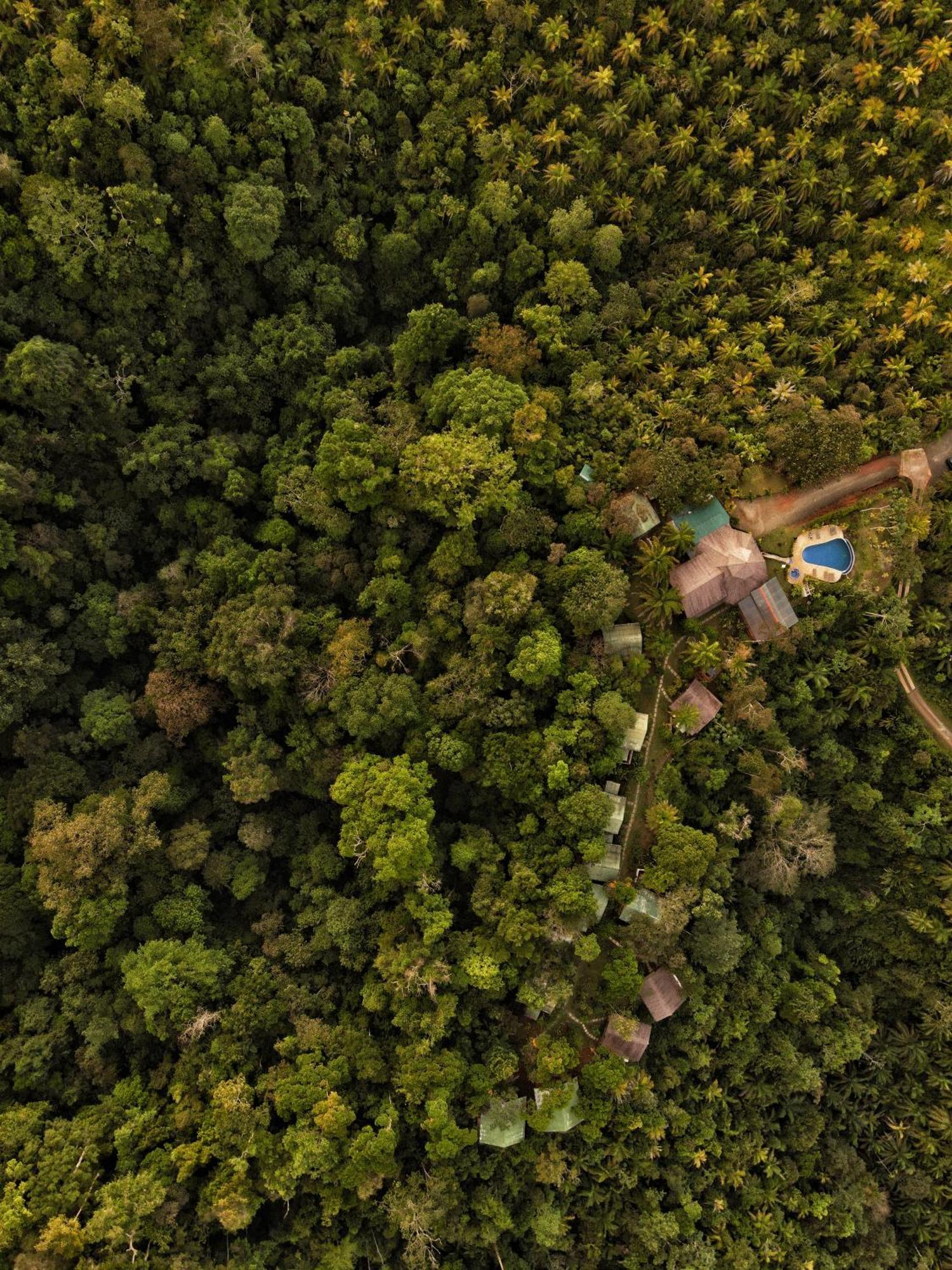 Corcovado Private Villas - Corcovado Private Reserve Пуэрто-Хименес Экстерьер фото